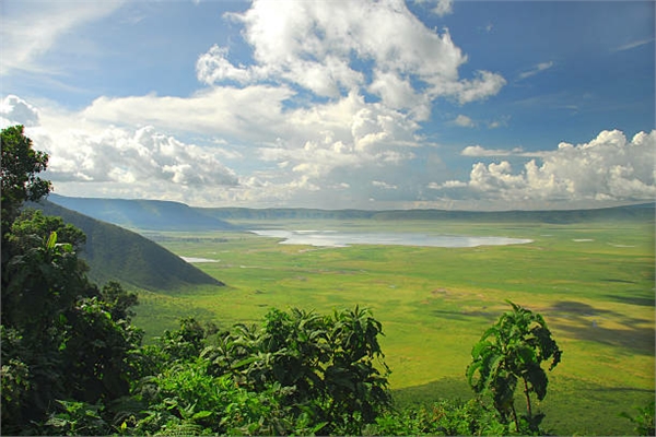 tanzania safaris