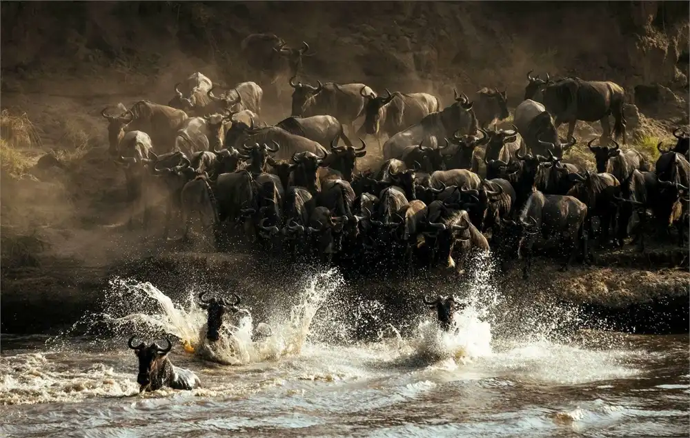 tanzania safaris